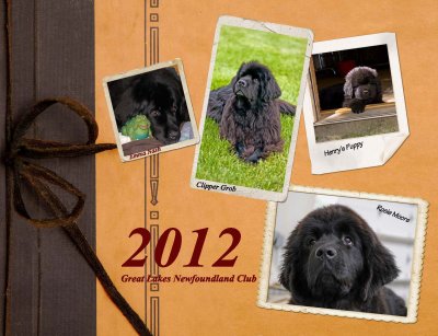 2012 Calendar Preview_Website_Page_01.jpg