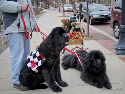 Hudson and Nelson
