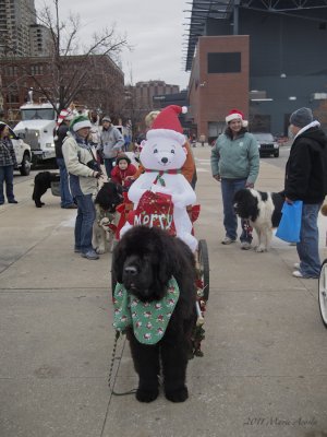 Robbie looking cool and frosty the snow man!