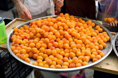 Trout Lake Apricots