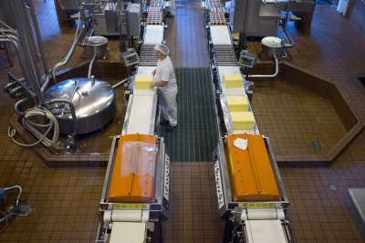 Tillamook Cheese Factory Tour