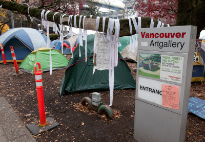 Occupy-van-002.jpg