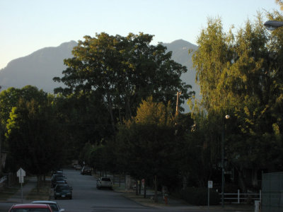 View down the block