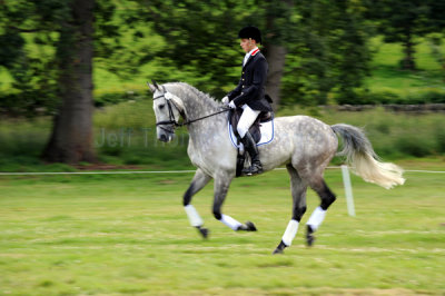 Horse trials13.jpg