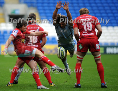 g4/79/794079/3/139139551.qBTXDc2r.jpg
