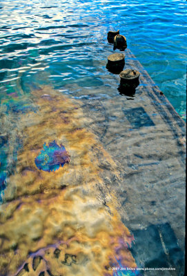 Hawaii_0030-copy.jpg