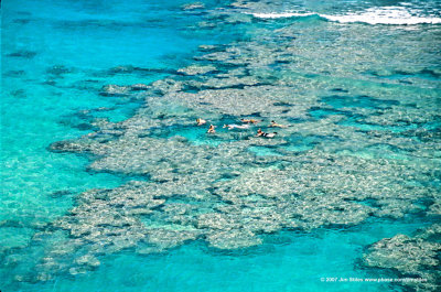Hawaii_0039-copy.jpg