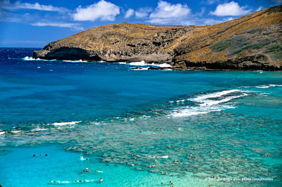 Hawaii_0040-copy.jpg