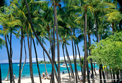 Hawaii_0066-copy.jpg