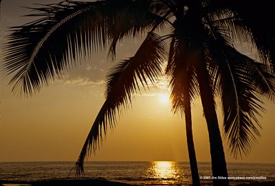 Hawaii_0070-copy.jpg