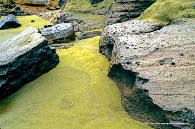 Hawaii_0099-copy.jpg