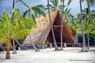 Hawaii_0124-copy.jpg