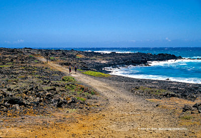 Hawaii_0540-copy.jpg
