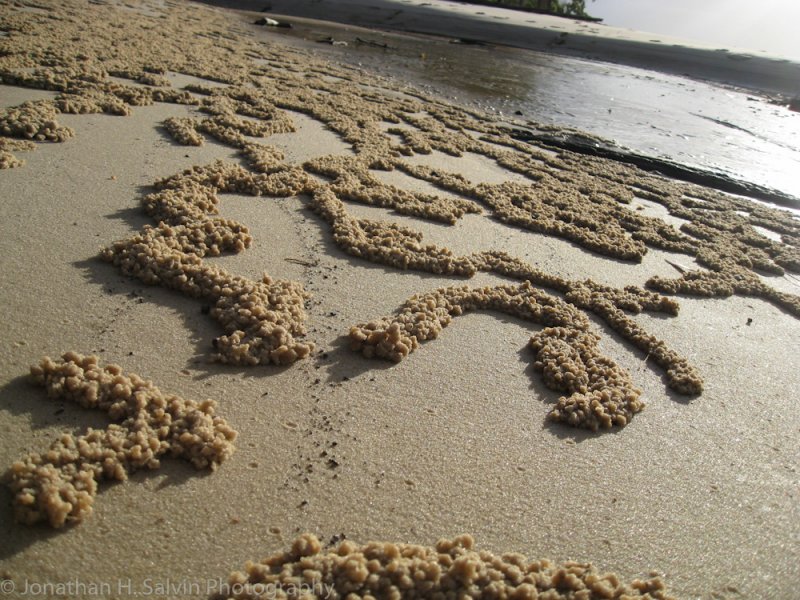 Australia-890.jpg