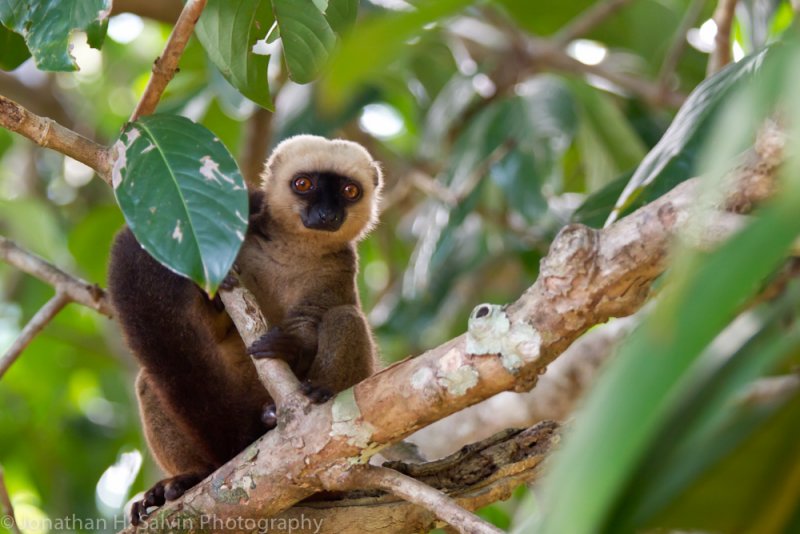 Madagascar-1398.jpg