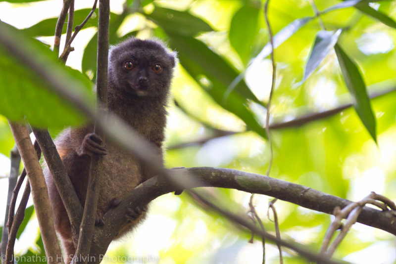Madagascar-1428.jpg