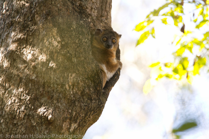 Madagascar-2709.jpg