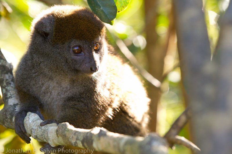 Madagascar-315.jpg
