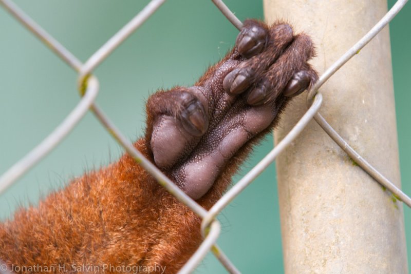 Madagascar-880.jpg