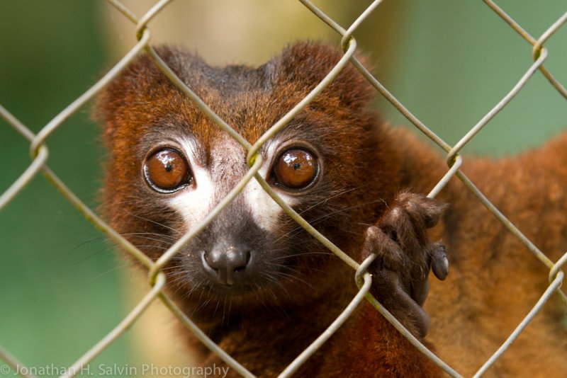Madagascar-882.jpg