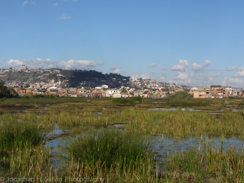 Madagascar-4.jpg