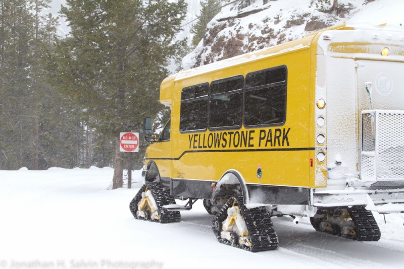 Yellowstone-1376.jpg