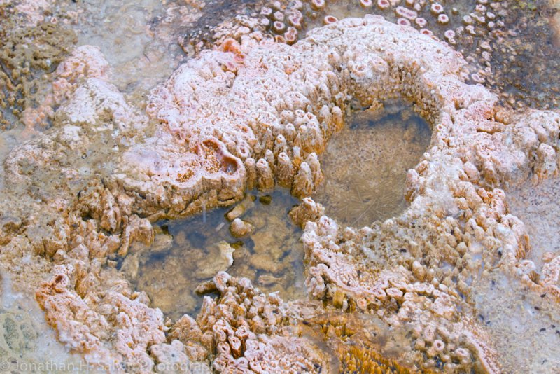 Yellowstone-1564.jpg