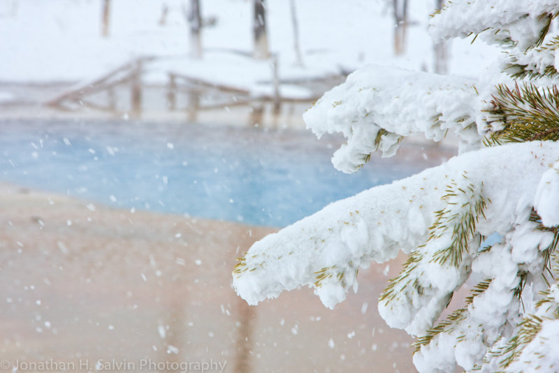 Yellowstone-1598-Edit.jpg