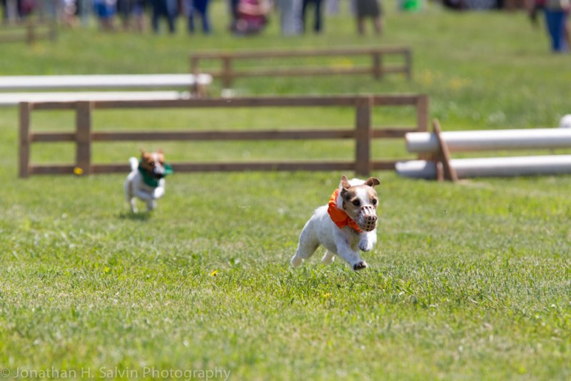 Willowdale 2012-16.jpg