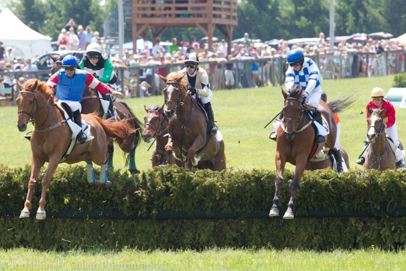 Willowdale 2012-286.jpg