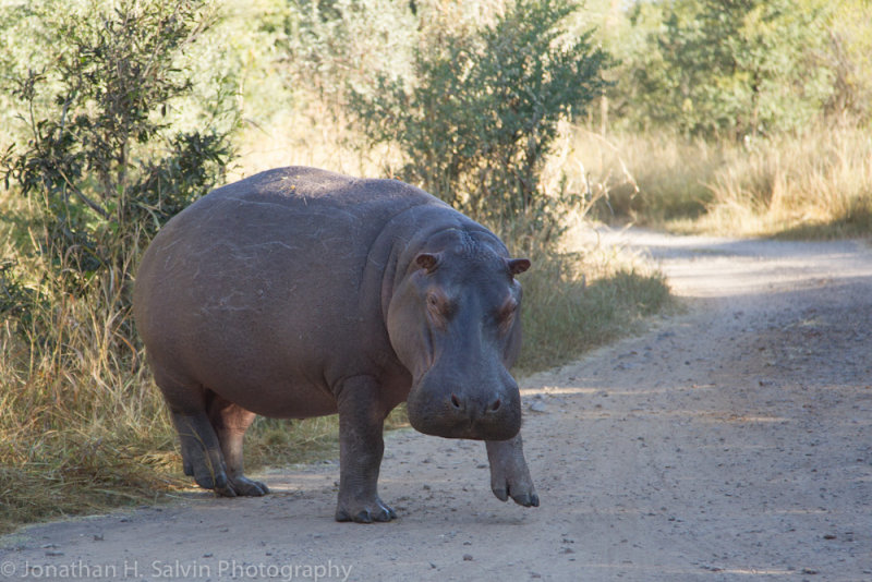 Zambia 2012-127.jpg