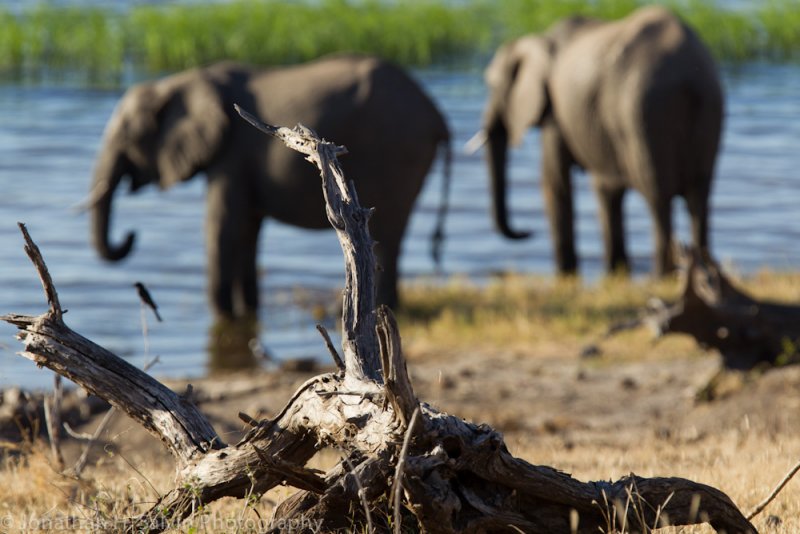 Botswana 2012-148.jpg