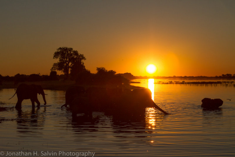Botswana 2012-262.jpg