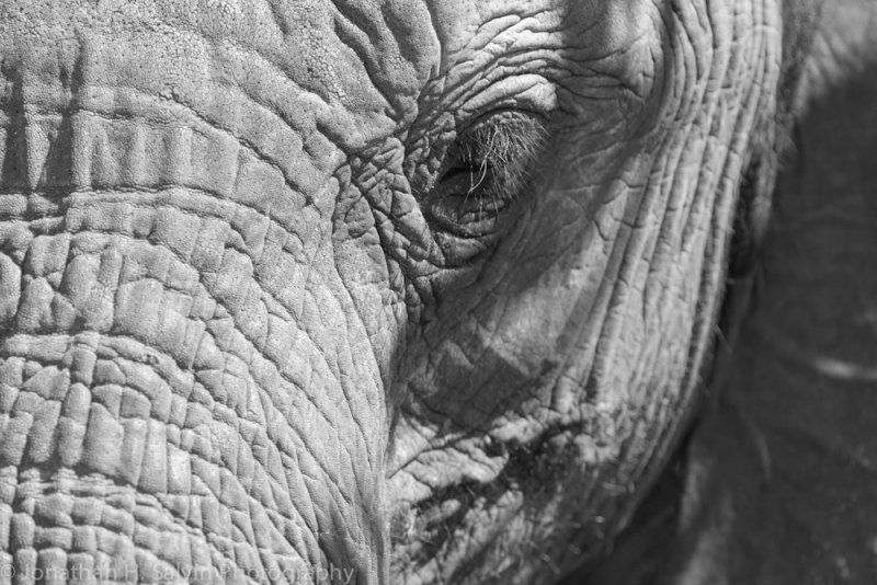 Botswana 2012-436.jpg
