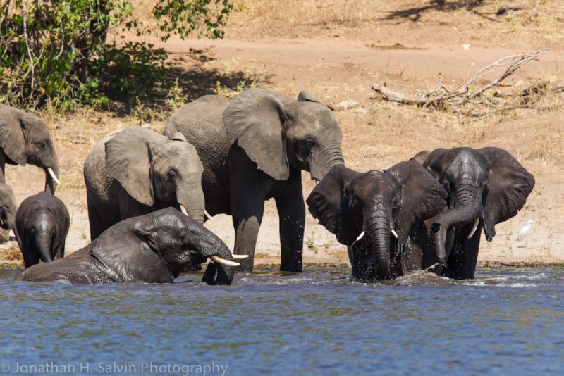 Botswana 2012-618.jpg