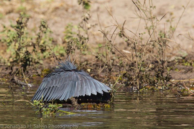 Botswana 2012-646.jpg