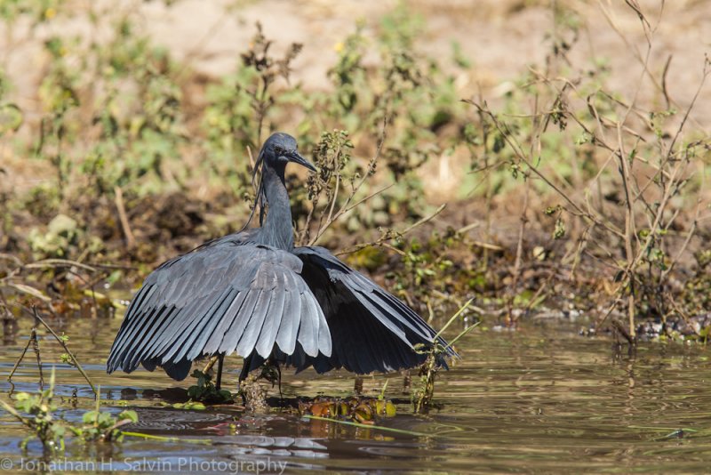 Botswana 2012-653.jpg