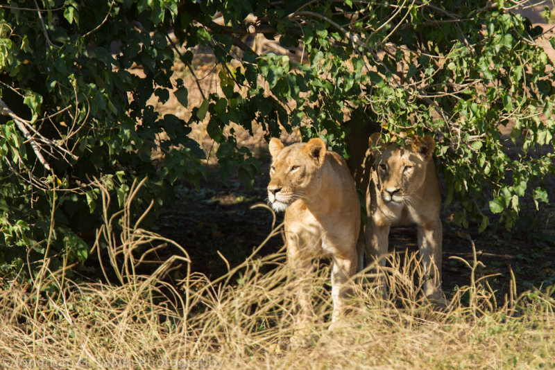 Botswana 2012-788.jpg