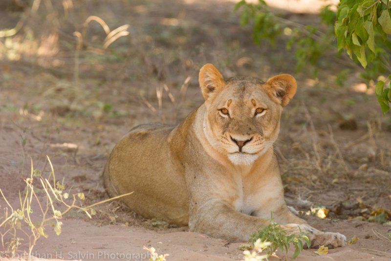 Botswana 2012-863.jpg