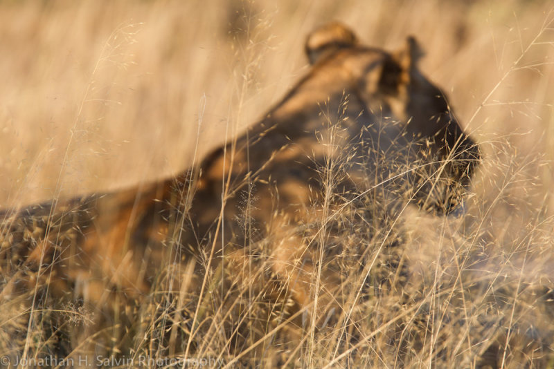 Botswana 2012-1510.jpg