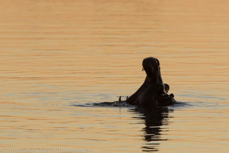 Botswana 2012-2334.jpg