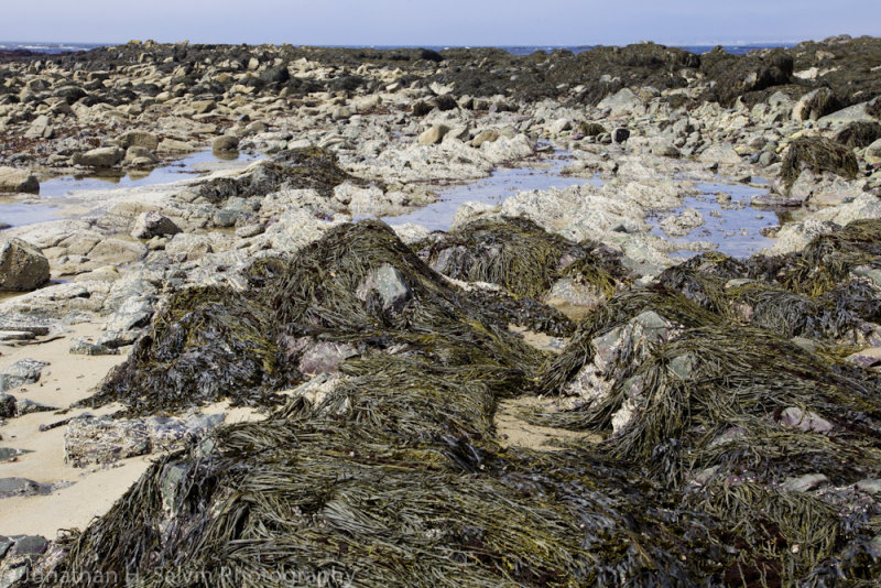 Kennebunkport-101.jpg