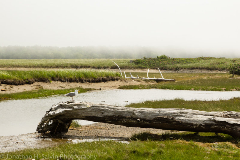 Kennebunkport-144.jpg