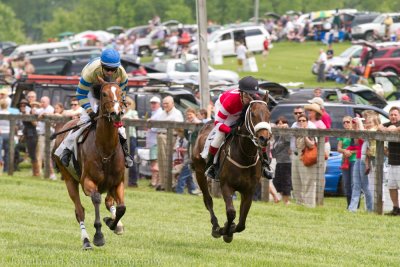 Willowdale Steeplechase