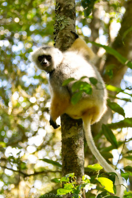 Madagascar-147.jpg