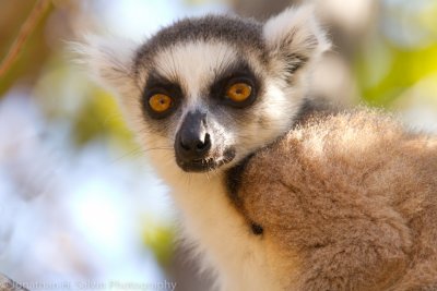 Madagascar-2287-Edit.jpg