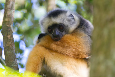 Madagascar-254.jpg