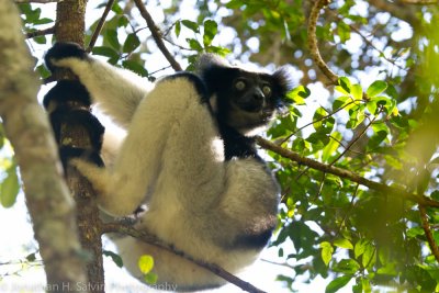 Madagascar-820.jpg