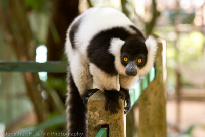 Madagascar-956.jpg