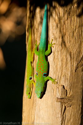 Madagascar-491.jpg
